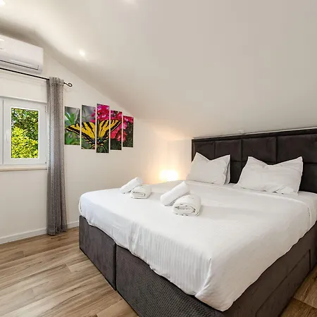 Pax Promona Zadarvillas Villa